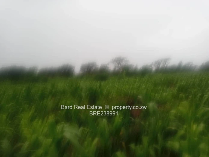 26ha Borrowdale — Subdivide-Ready, Main Road Frontage