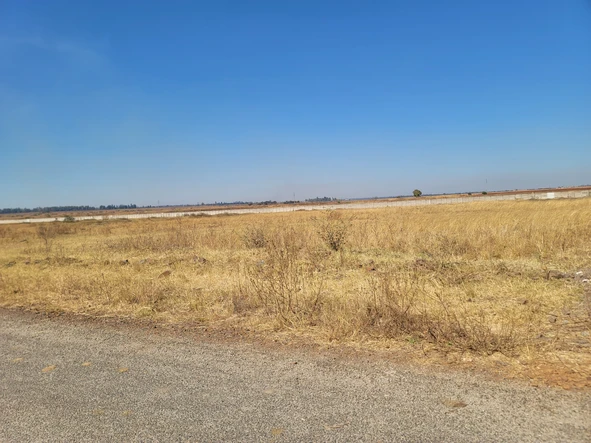 Stands & Residential Land