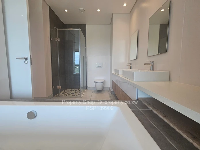 Brand new world class luxurious penthouse in Sandton. 