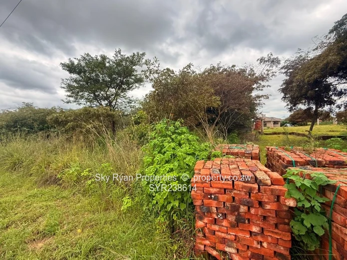 Arlington Stand For Sale