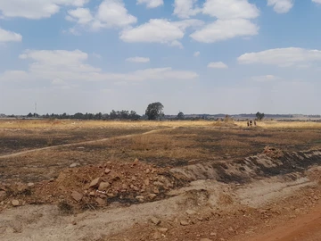 Stands & Residential Land