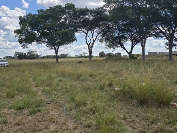 Farm & Agricultural Land