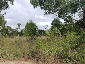 Farm & Agricultural Land