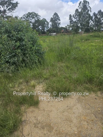 Silverbrook Ruwa (Sole Mandate)