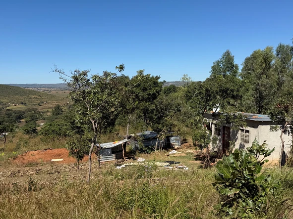 Farm & Agricultural Land