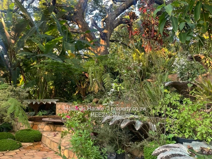 Incredible property in Glen Lorne