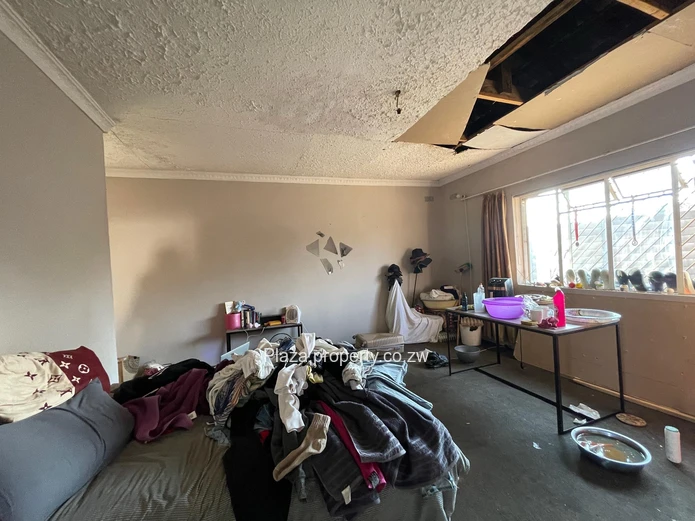 Renovator's Delight In Haig Park