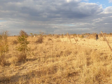 Land