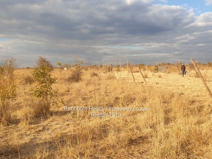 2.5ha Fenced Dry Grassland in Selous - Ideal Homestead