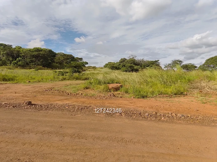 Prime Residential Stands for Sale!