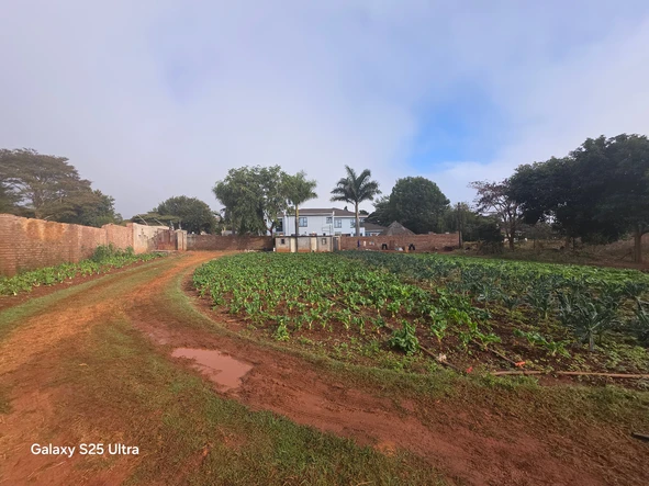 Stands & Residential Land