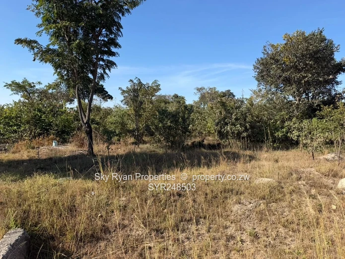 Arlington Estate Stand For Sale
