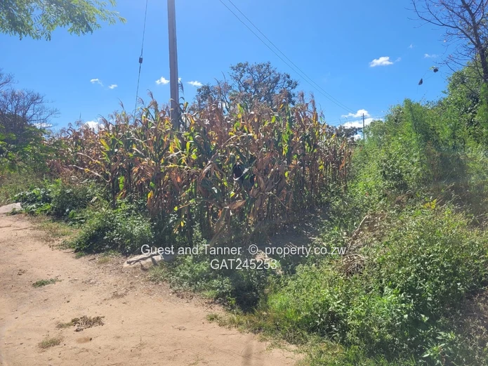 Stand For Sale  In Crowhill