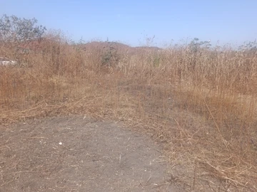 Land