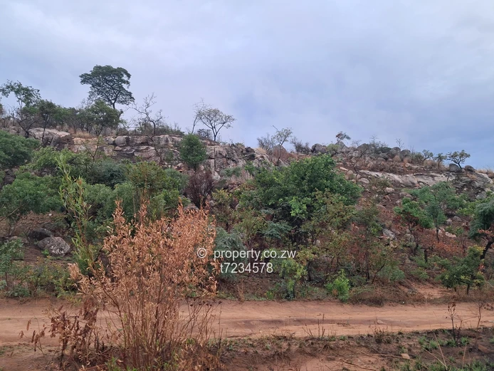 Crowhill views stand 1250 sqm  (Sole Mandate)