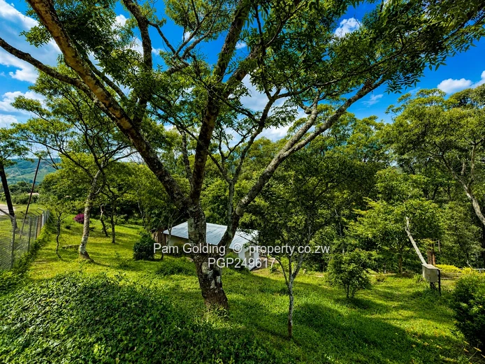 Stone-Clad Family Home With Cottage For Sale In Chimanimani