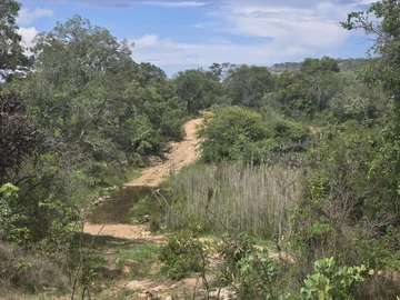 Farm & Agricultural Land