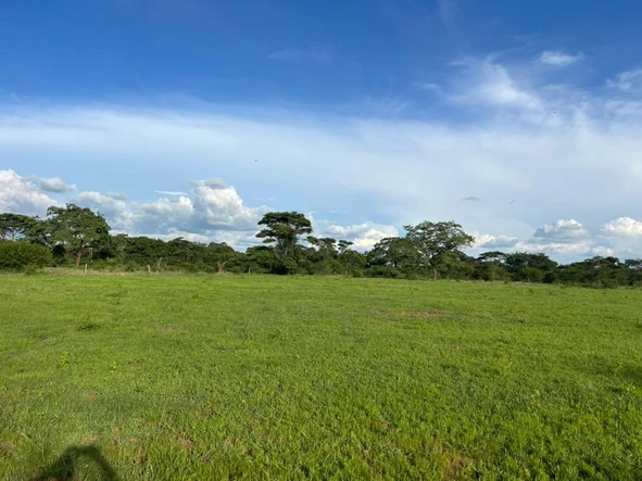 Farm & Agricultural Land