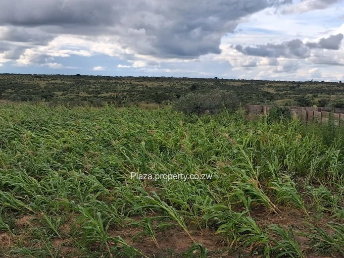 Stand For Sale In Chivhu - Buckenhill