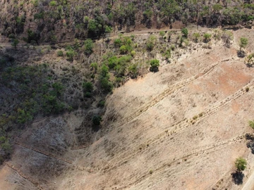 Farm & Agricultural Land