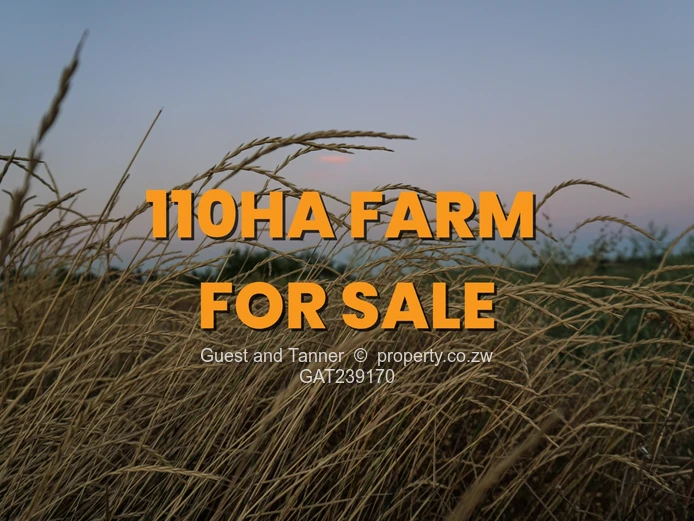 CHINTON GOLDEN GARDENS PBC - Prime 110 Ha Agro Residential Estate for Sale in Mazoe with Title Deed