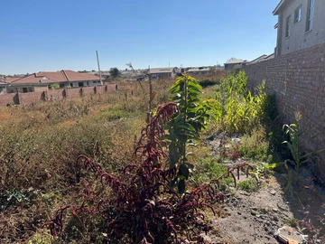 Stands & Residential Land