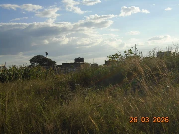 Commercial & Industrial Land