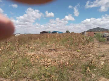 Commercial & Industrial Land