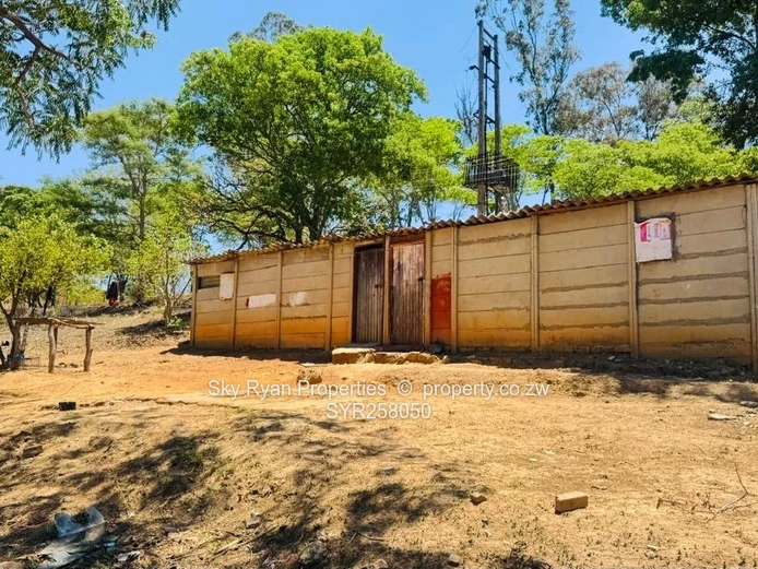 Helensvale Stand For Sale 