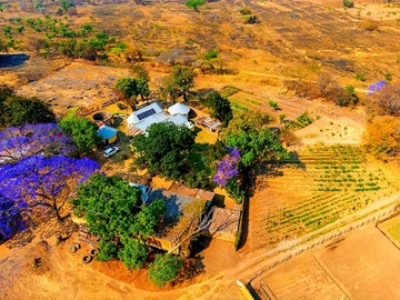 Farm & Agricultural Land