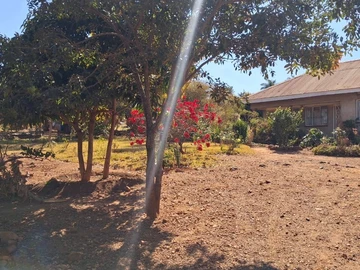 1000sqm Subdivision Stand for Sale