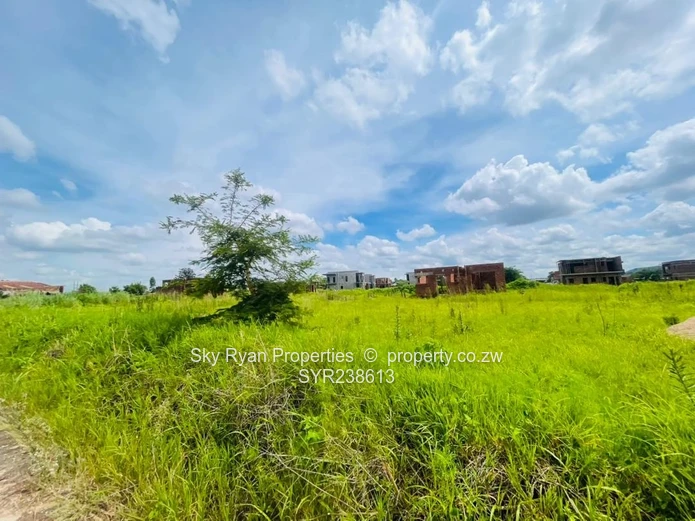 Pleasant Valley Stands For Sale