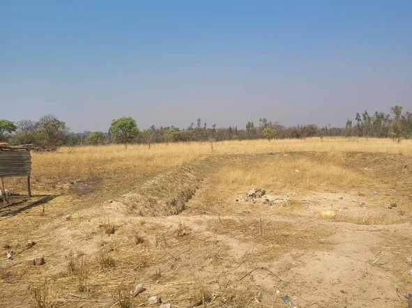 Msengezi Southwood Farm for Sale