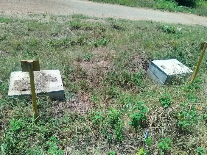 Quinnington Gated Community Stands