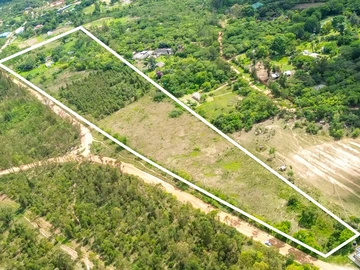 Farm & Agricultural Land