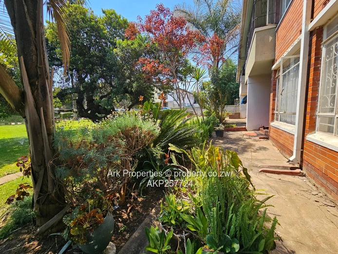 Apartment To Let In Avondale