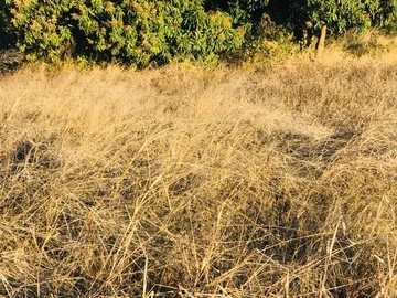 Residential Stand For Sale-Fern Valley