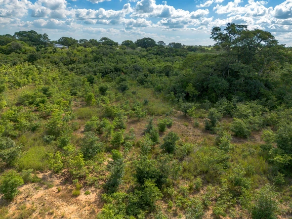 Farm & Agricultural Land