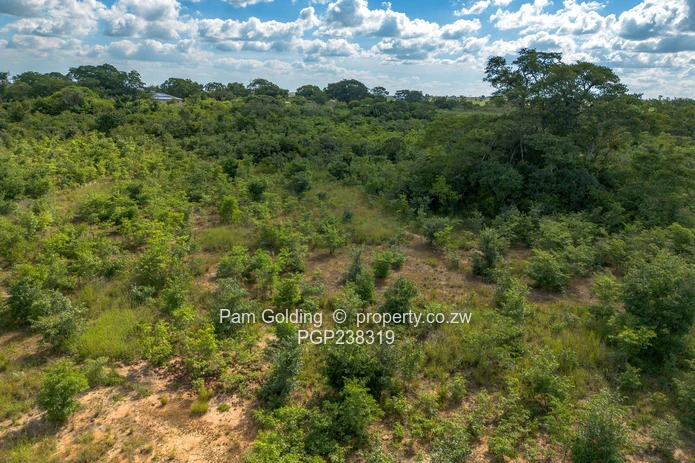 Perfect Agro-Residential Plot (Sole Mandate)