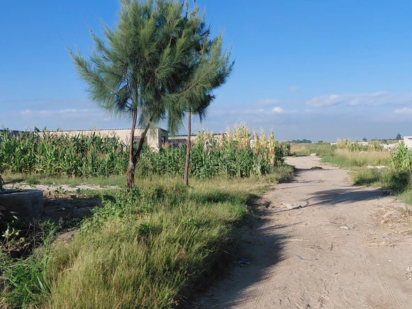 Stands & Residential Land