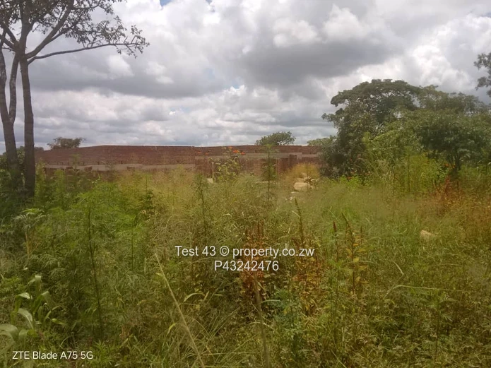 Crowhill stand for sale