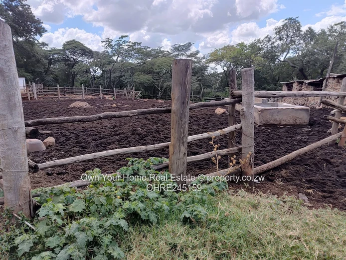 Melfort farm to rent 