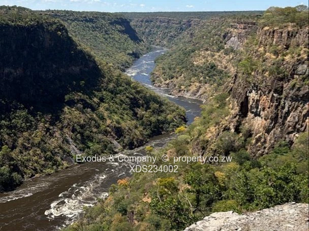 The Zambezi Gem — Where Nature Meets Prestige