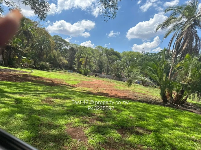 Greystone Park rentalhil