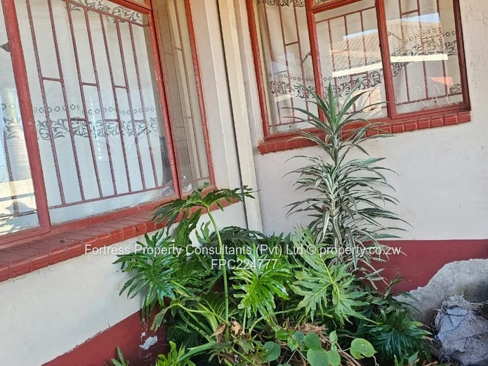 Newly Renovated 4-Bedroom House 