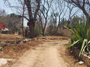 Farm & Agricultural Land