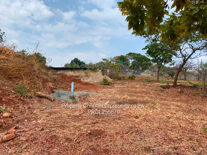 2,100m² Plot on Paved Road with Palm Trees, Hogerty Hill