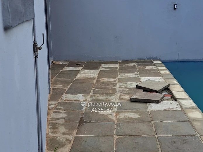 Arlington 4 bed house to Rent 