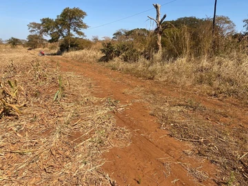 Farm & Agricultural Land