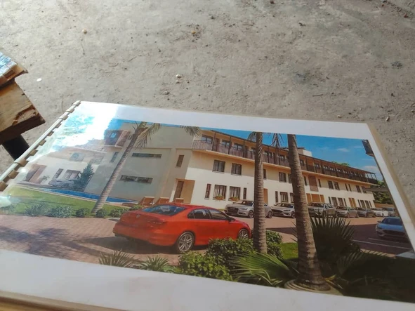 Flat & Apartment
